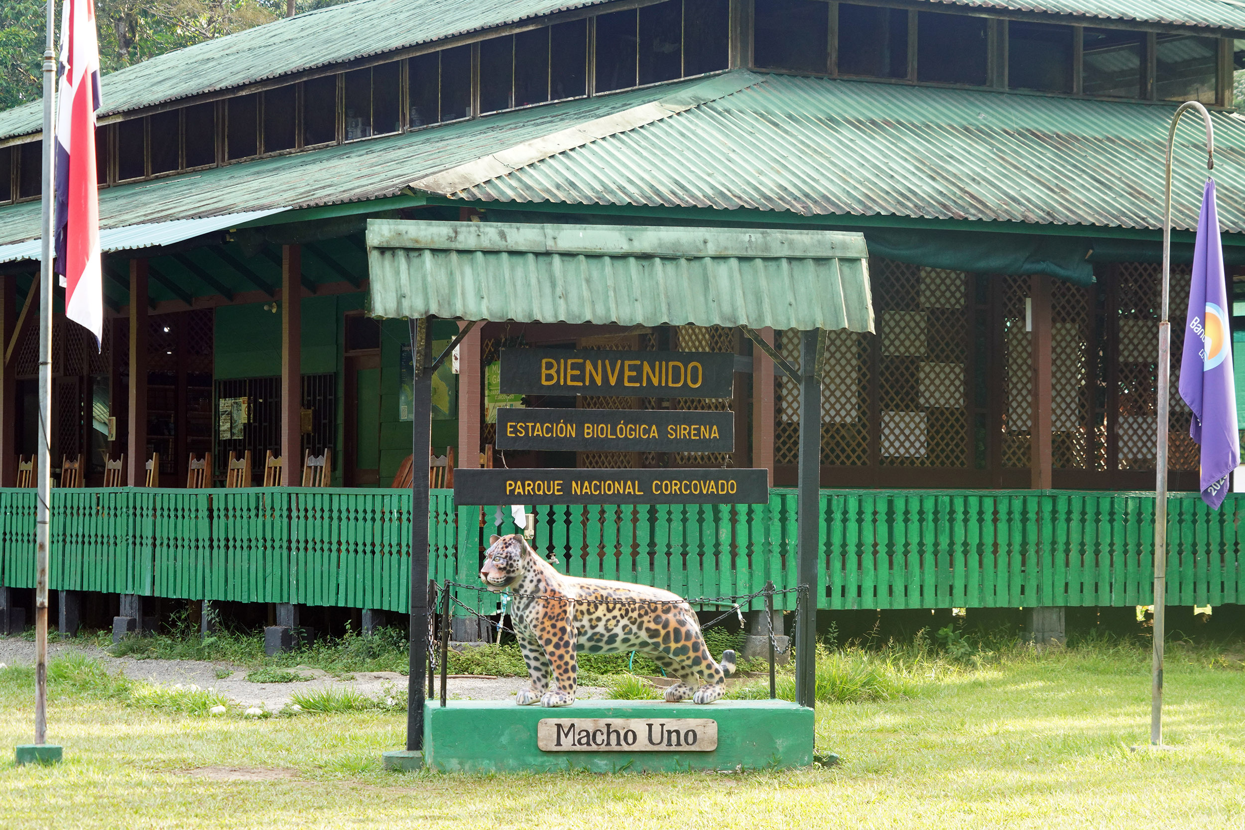 Costa Rica - Février 2025